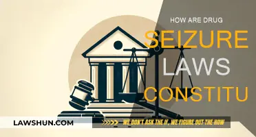 Drug Seizure Laws: Constitutionality and Legal Challenges