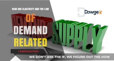 Understanding Elasticity's Role in the Law of Demand Dynamics
