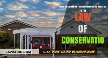 Energy Transformations and the Law of Conservation: Unraveling the Connection