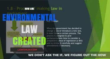 Environmental Law Evolution: How They're Created