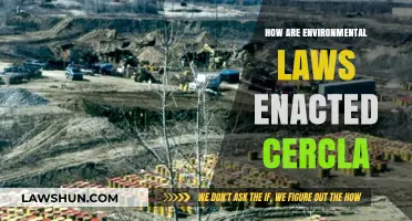 Navigating the Complex Process of Enacting Environmental Laws: A CERCLA Case Study