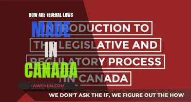 The Making of Federal Laws in Canada