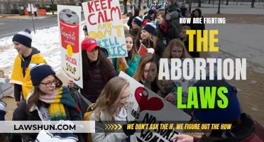 Fighting Abortion Laws: Strategies for Resistance and Change