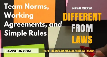Folkways vs. Laws: Understanding Social Norms and Rules