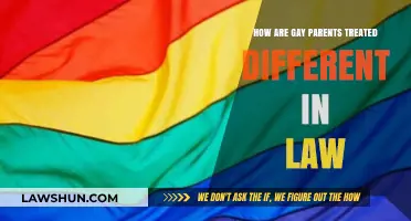 Gay Parenting: Legal Recognition and Challenges