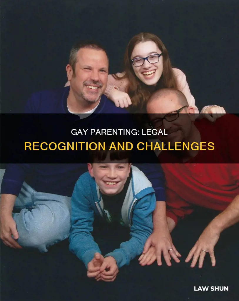 how are gay parents treated different in law