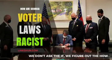Georgia's Voter Laws: Systemic Racism and Suppression of Minority Votes