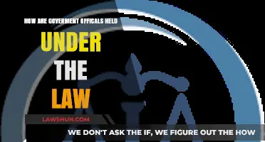 Accountability Under the Law: How Government Officials Face Legal Scrutiny