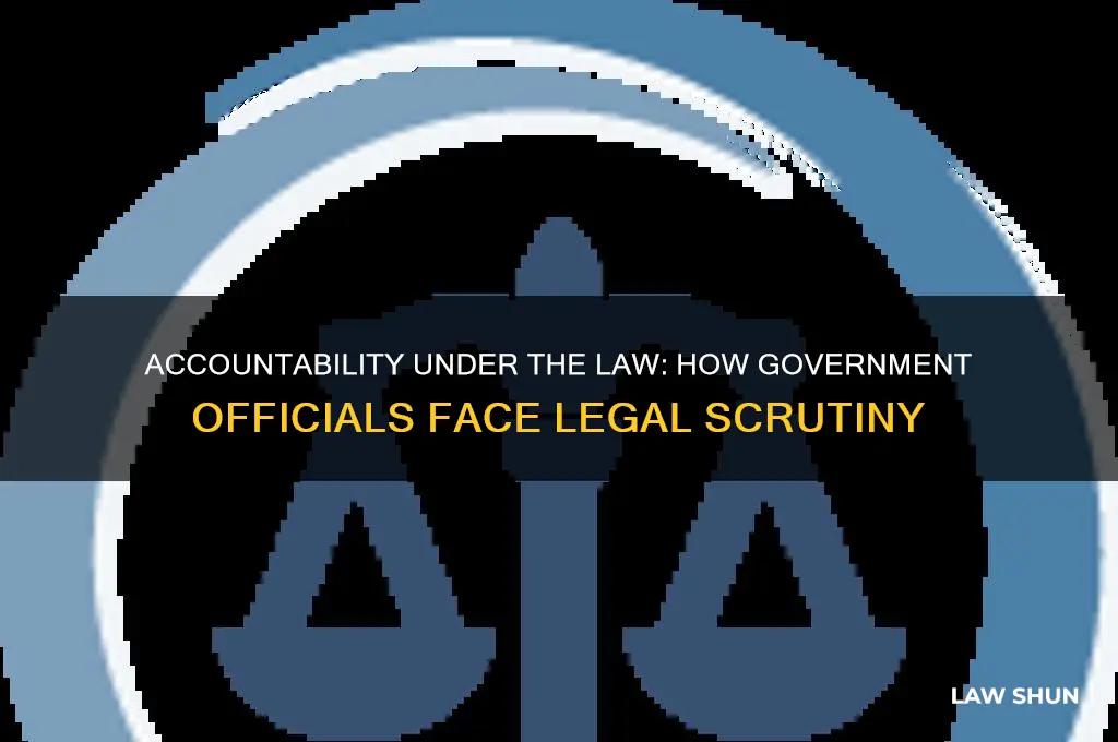 how are goverment officals held under the law