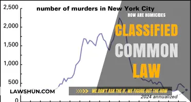 Understanding Homicide Classification in Common Law