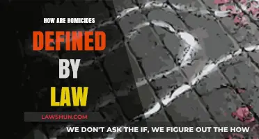 Understanding Homicide: Legal Definitions and Classifications