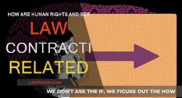 Sex Laws and Human Rights: A Complex Contraction