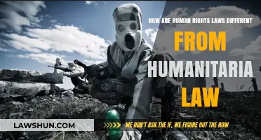 Human Rights vs Humanitarian Law: What's the Difference?