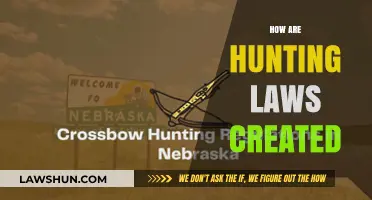 Hunting Laws: Who, What, and Why?