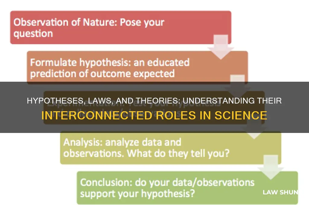 how are hypotheses law and theory related