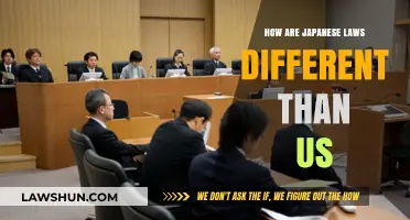 Japanese Laws: Unique Differences from the US