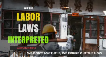 Understanding Labor Law Interpretation: Key Principles and Practical Implications
