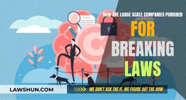 Punishing Large-Scale Corporate Law Breakers: Effective Strategies