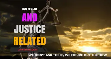 Law and Justice: Exploring Their Interconnected Roles in Society