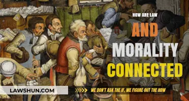 Exploring the Intricate Bond Between Law and Morality