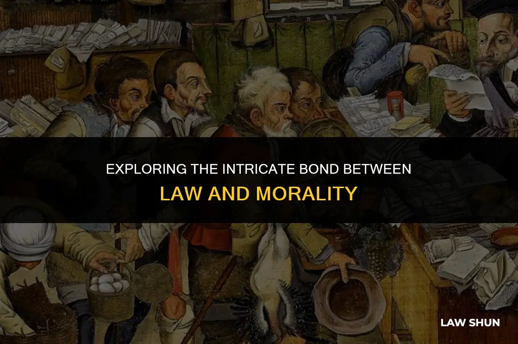 how are law and morality connected