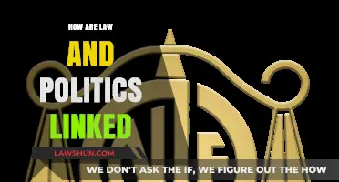 Exploring the Intricate Nexus of Law and Politics