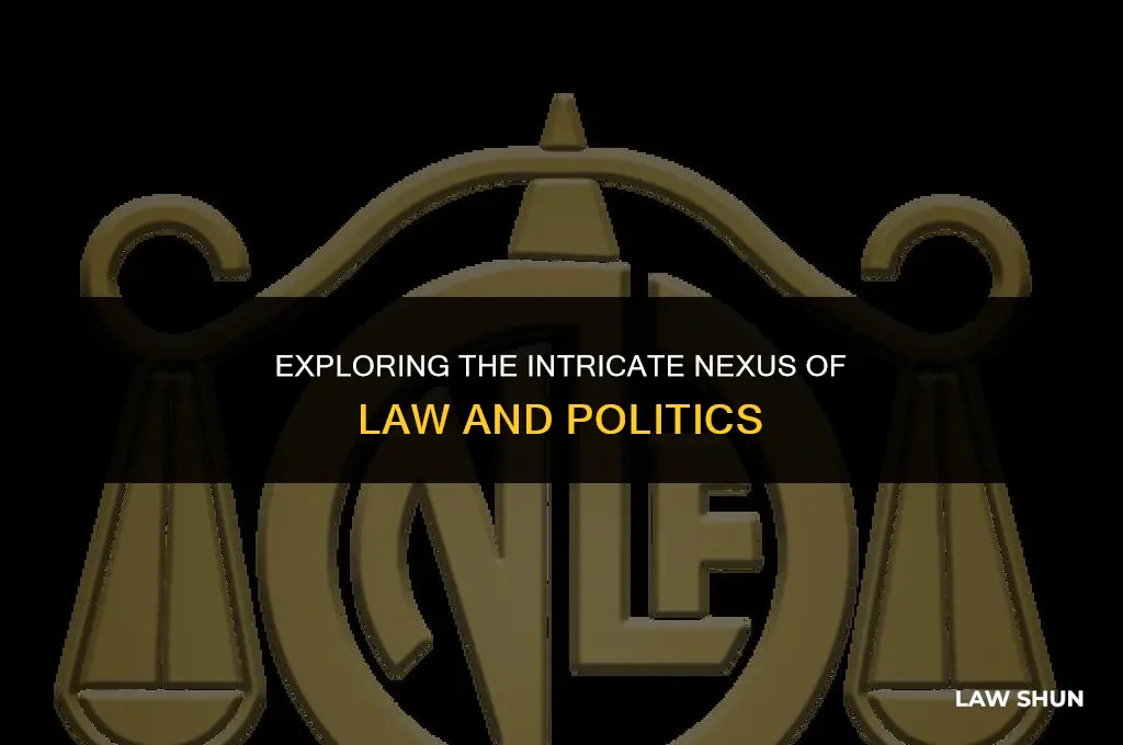 how are law and politics linked