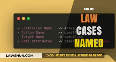 The Art of Naming Law Cases: A Guide
