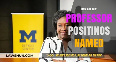 Unveiling the Nomenclature of Law Professor Positions