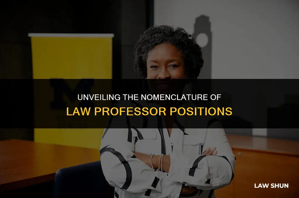 how are law professor positinos named