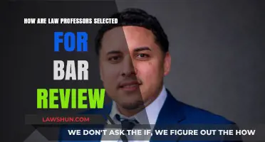 Selecting Law Professors for Bar Review: Criteria and Process Explained