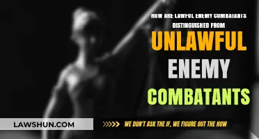 Distinguishing Lawful vs. Unlawful Enemy Combatants: Key Legal Criteria Explained