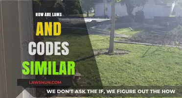 Laws and Codes: Unraveling Their Shared Structure and Purpose
