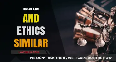 Exploring the Intersection: How Laws and Ethics Align