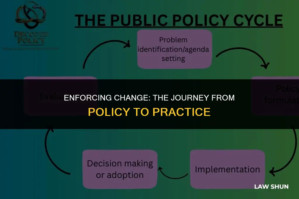 how are laws and policies implemented