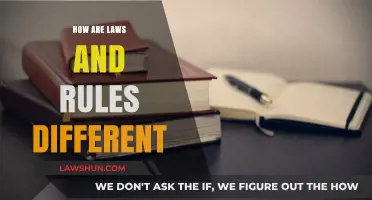 Laws vs Rules: What's the Difference?