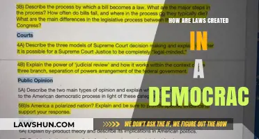 The Law-Making Process in a Democracy