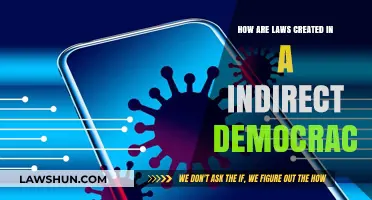 The Process of Lawmaking in an Indirect Democracy