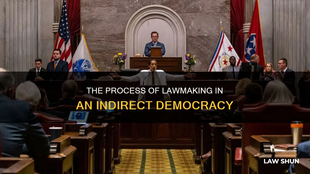 how are laws created in a indirect democracy