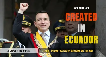 Creating Laws in Ecuador: The Process