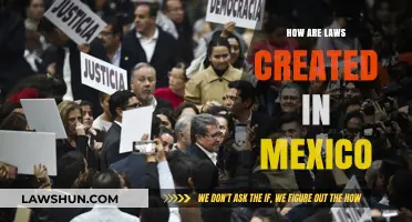 The Mexican Lawmaking Process Explained