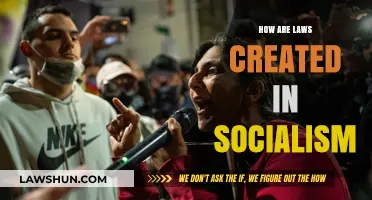 Socialism's Lawmaking: A Democratic Process