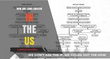 The Lawmaking Process in the US: How It Works