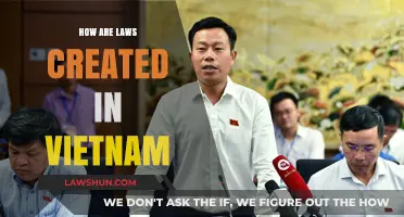 Vietnam's Lawmaking Process Explained