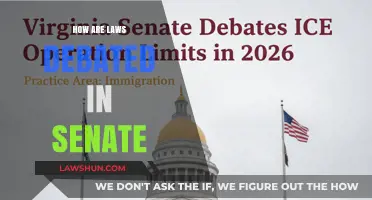 Deliberative Dynamics: How Laws are Debated in the Senate
