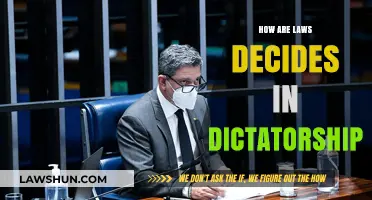 Dictatorship's Rule of Law: How Decisions Shape Society
