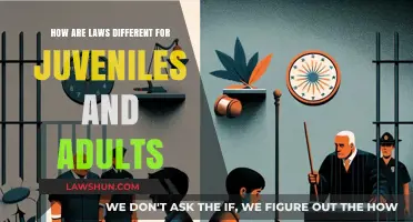Juvenile Justice: Different Laws for Minors and Adults