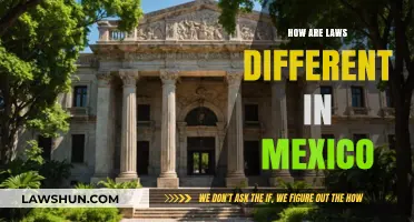 Exploring Mexico's Unique Legal System