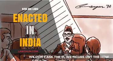 Understanding India's Law-Making Process
