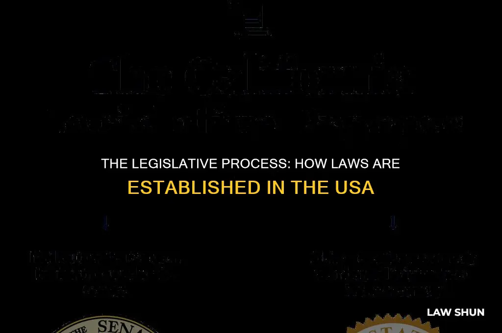 how are laws established in usa